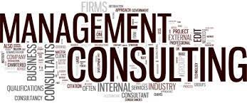 Rom Enviro Serv - consultanta in management