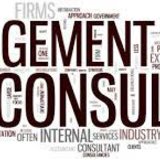 Rom Enviro Serv - consultanta in management