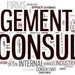 Rom Enviro Serv - consultanta in management